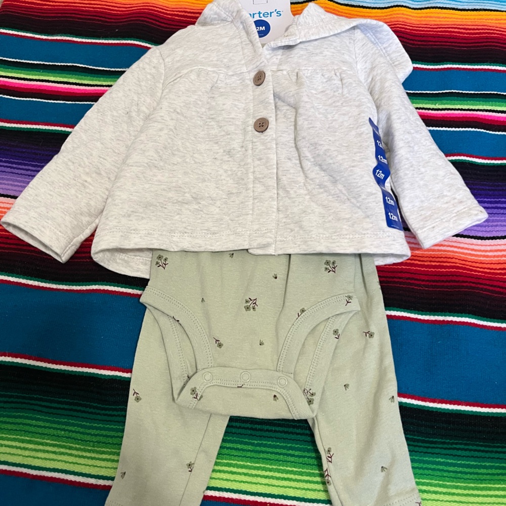 Carter's Heather Gray Hooded Top with Sage Floral shirt & pants